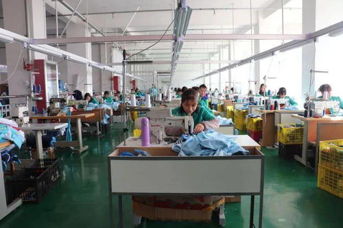 靜寧縣人社局 以“靜寧果農”勞務品牌引領勞務產業(yè)高質量發(fā)展 拓寬群眾增收致富路